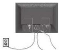 NEC AccuSync LCD203WM - Contenuo - 3