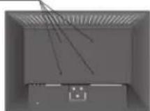 NEC AccuSync LCD203WM - Specifications - 1