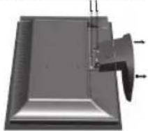 NEC AccuSync LCD203WM - Contenuo - 2