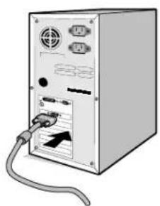 NEC MultiSync LCD1970NXp - Quick Start - 2