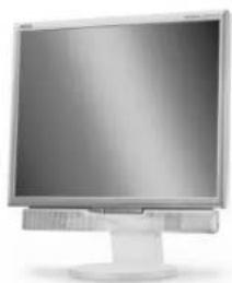 NEC MultiSync LCD1970NXp - Inhoud - 2