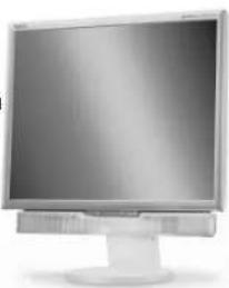 NEC MultiSync LCD1970NXp - Copepkmoe - 2