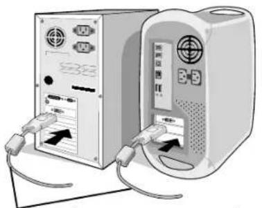 NEC MultiSync LCD1970NXp - Anawon Tou Kaataekuaotn - 2