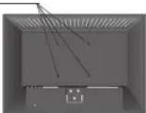 NEC AccuSync LCD193WM - Especificaciones - 1