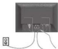 NEC AccuSync LCD193WM - Contenuo - 3