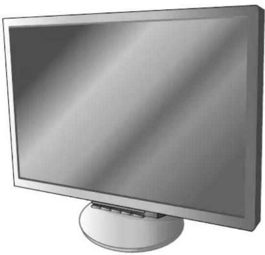 NEC MultiSync LCD225WNX - 1
