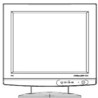 NEC MultiSync LCD1700V - Αποσυσκευασία - 1