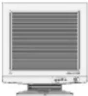 NEC MultiSync LCD1700V - Schermate dell'OSD - 10