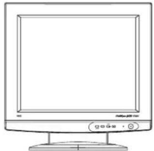 NEC MultiSync LCD1700V - Disimballaggio - 1