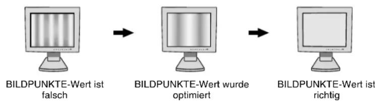 NEC LCD1701 - BILDPUNKTE - 1