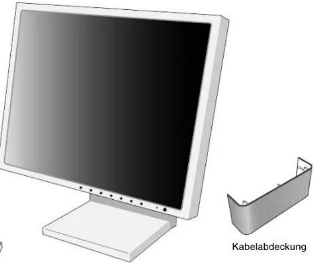 NEC MultiSync LCD1980SX - 1