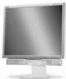 NEC MultiSync LCD1970GX - Περιεχόμενα - 2