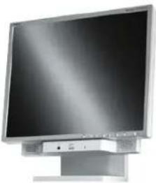 NEC MultiSync LCD1980FXi - Inhoud - 2