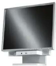 NEC MultiSync LCD1980FXi - Contents - 2