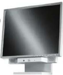NEC MultiSync LCD1980FXi - Contenido - 2