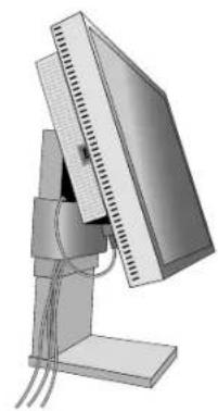 NEC SpectraView Reference 21 - Snel aan de slag - 3