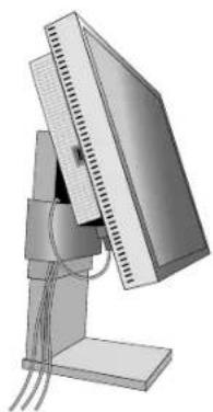 NEC SpectraView Reference 21 - Podłączenie monitora - 3