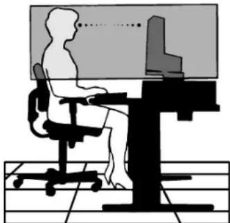 NEC SpectraView Reference 21 - DURCH RICHTIGE AUFSTELLUNG UND EINSTELLUNG DES MONITORS KÖNNEN ERMÜDUNGSERSCHEINUNGEN VON AUGEN, SCHULTERN UND NACKEN VERMIEDEN WERDEN. BEACHTEN SIE BEI DER AUFSTELLUNG DES MONITORS FOLGENDES: - 2