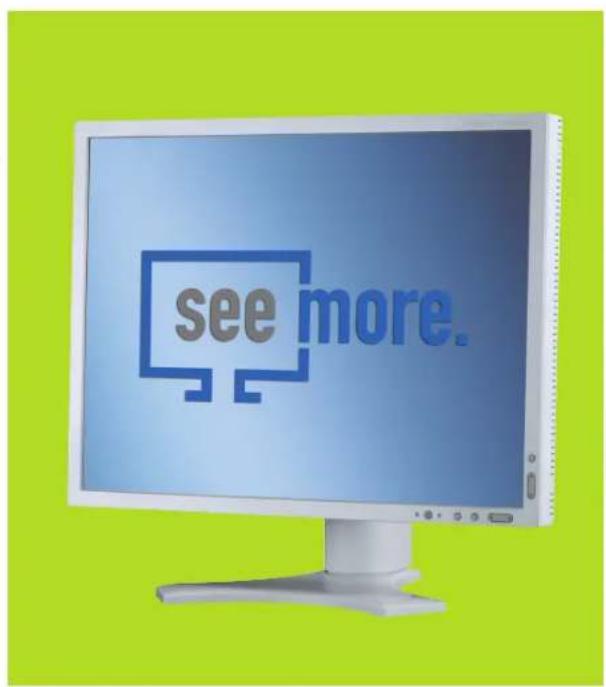 NEC SpectraView 1990p - 1