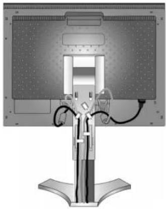 NEC SpectraView 1990p - Ergonomika - 2