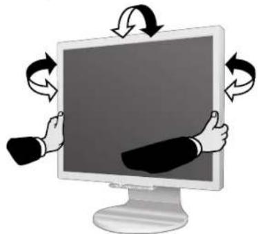 NEC MultiSync 20WGX² Pro - Tilt and Swivel - 1