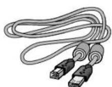 NEC MultiSync 20WGX² Pro - Contidente - 1