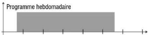 Vemer memo BT1 GPS - Priorité des programmes ON et OFF - 2