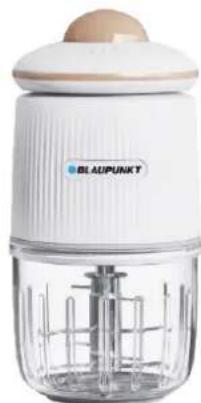 BLAUPUNKT BPFS03 - User Manual - 1