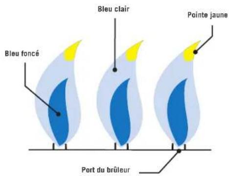 Bleu clair Pointe jaune Bleu foncé Port du brûleur
