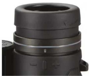 BUSHNELL Engage X - AJUSTE DE FOCO Y DIOPTRÍA - 1