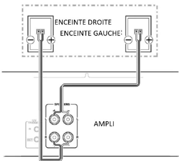 Cerwin-Vega SL8 - Connexion du système : - 1