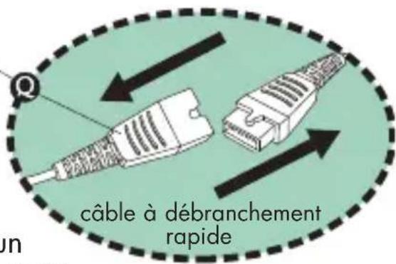 câble à débranchement rapide