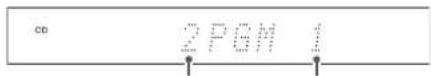 Esoteric P02X - Utilice los botones numéricos para seleccionar las pistas que desee programar. - 5