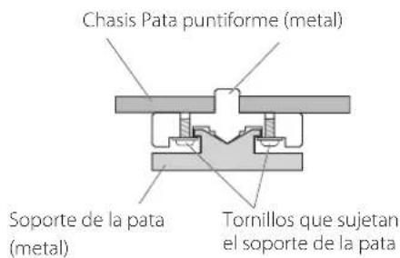 Esoteric P05X - Notasobrelaspataspuntiformes - 1