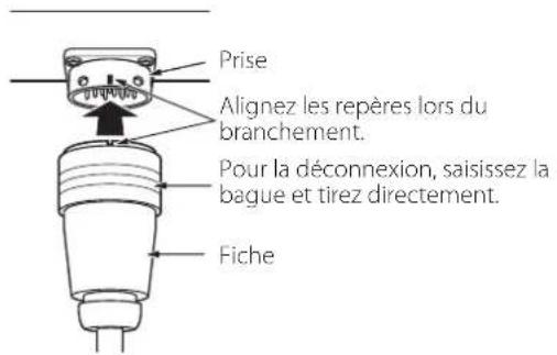 Esoteric Grandioso P1X - E prises d'entrée et de sortie d'alimentation CC (DC IN, DC OUT) - 1