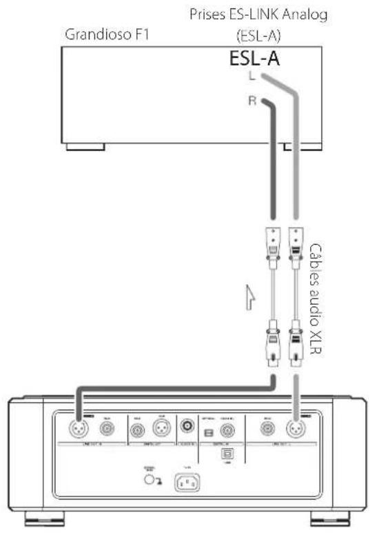 Esoteric Grandioso K1 - Branchement d'un grandioso F1 par liaison es-link analog - 1