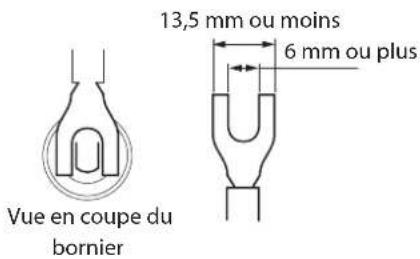 Esoteric Grandioso M1 - Si vous utilisez des cosses à fourche - 2
