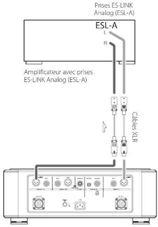 Esoteric Grandioso K1X - Branchement par liaison es-link analog - 1