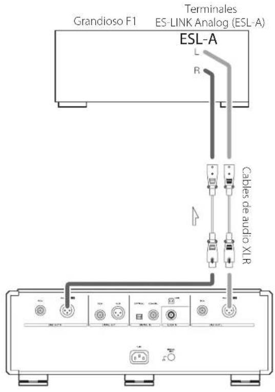 Esoteric K01Xs - Conexión a un Grandioso F1 a工程技术 de ES-LINK Analog - 1