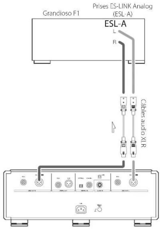 Esoteric K01Xs - Branchement d'un grandioso F1 par liaison es-link analog - 1