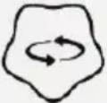 Chipolino Bear - FUNZIONI - 5