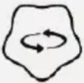 Chipolino Bear - Fonctions - 5