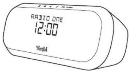 Teufel Radio One - Kopplung und Wiedergabe - 1