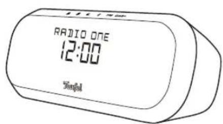 Teufel Radio One - Pairing and Play - 1
