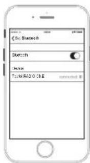 Teufel Radio One - Pairing and Play - 3