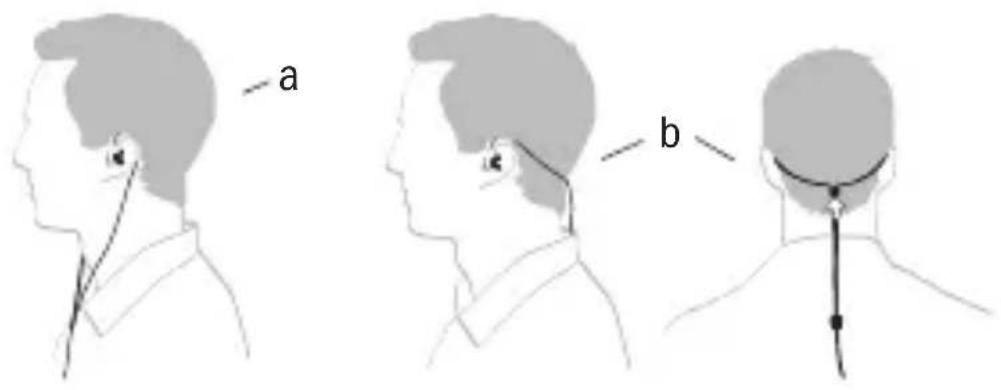 a b
