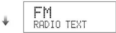 YAMAHA TSX100 - Ricezione di stazioni RDS (Radio Data System) - 4