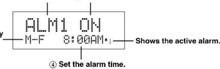 YAMAHA TSX100 - Adjust the alarm settings. - 4