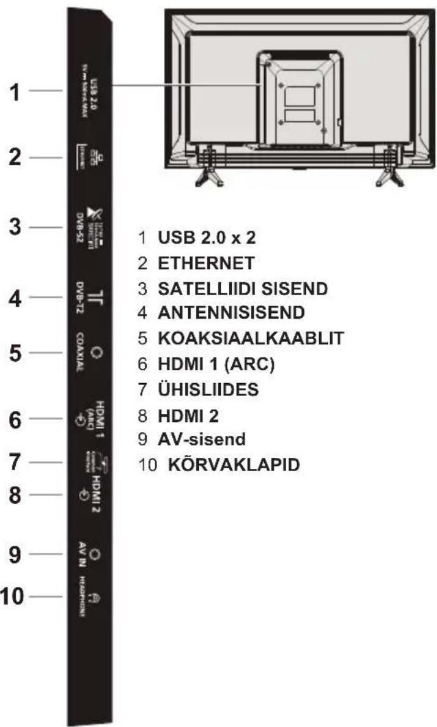 PANASONIC TX43LS500E - Liidesed - 1