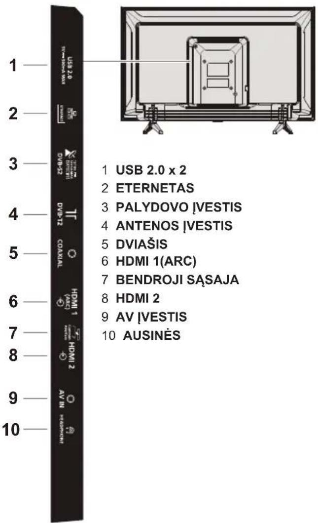 PANASONIC TX43LS500E - Kontaktai - 1